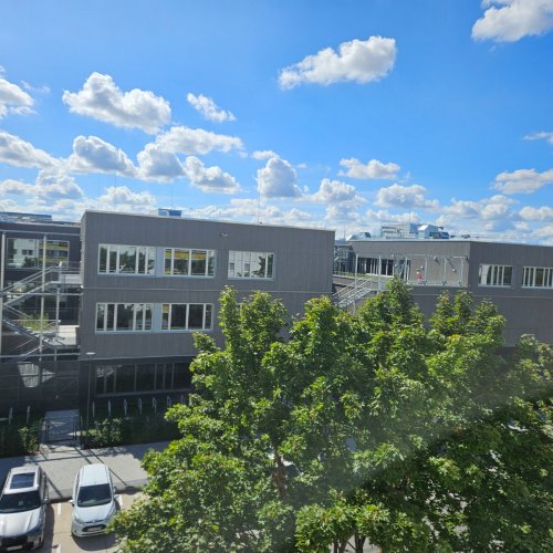 20250907_124423.jpg